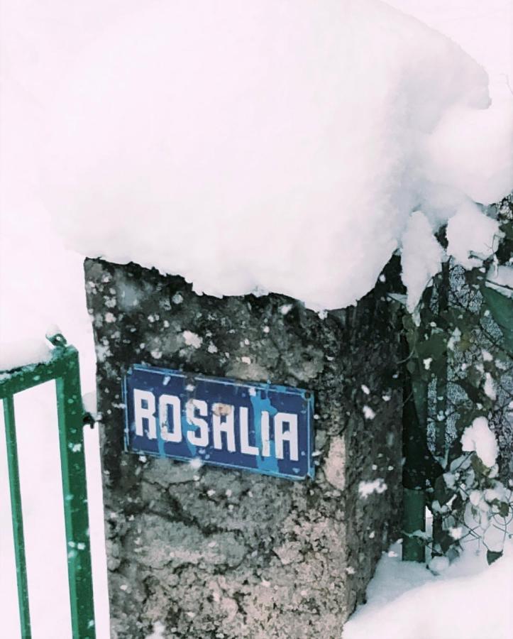 Villa Rosalia 比利亚努亚 外观 照片